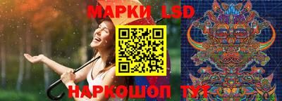 гашик Сланцы