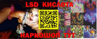 шишки Абакан