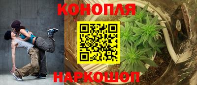 стаф Славгород