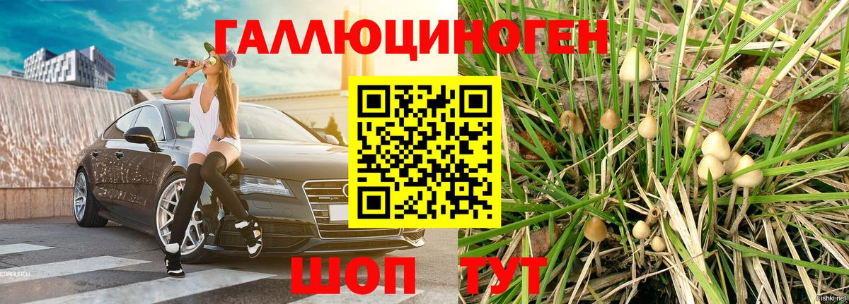 Галлюциногенные грибы мухоморы  Псилоцибиновые грибы Magic Shrooms  Орск  Вход с VPN 